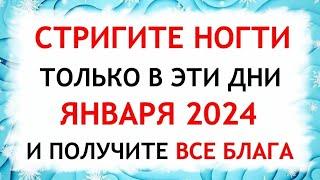 Лунный календарь стрижки ногтей на январь 2024. Благоприятные и неблагоприятные дни.