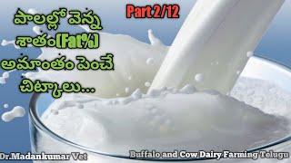 How to Increase Fat percentage in Milk | Increase Milk Production Telugu | Dr. Madankumar Vet