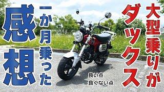 大型乗りがダックス125に1か月乗った感想。良い点と良くない点に分けて話します。