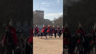 #horseguardsparade #changingoftheguard #horseguard #horse #lifeguards #london #kingslifeguard #army