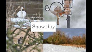 Snow day in the UK - Photo Slidesnow ( see what I did there? )