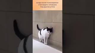 #рек#реки#рекомендации#тянка#тянки#аниме#япония#коты#собаки