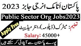 Pakistan Atomic Energy Jobs 2023 Latest Public Sector Organization Jobs 2023 | InfoUstaad