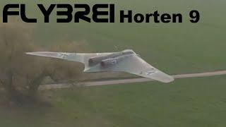 RC Horten Air to Air FPV-Video - Besuch beim Treibsand RC