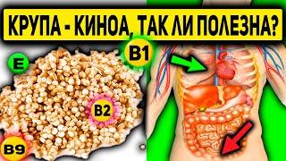 Крупа КИНОА. Какова Польза и Вред Для Здоровья. Кому нельзя есть киноа? Противопоказания