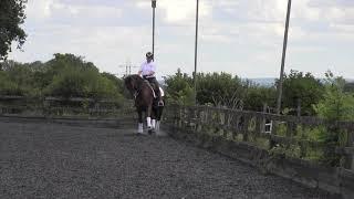 Introducing shoulder in with Alice Oppenheimer | Horse&Rider