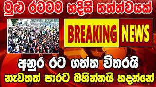 Derana News Breaking News |  Now Here is special news just received  | sri lankan brekinmg news