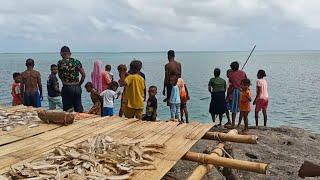 Warga Panik melihat ikan besar