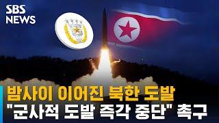 밤사이 이어진 북한 도발…"군사적 도발 즉각 중단" 촉구 / SBS