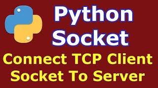 Python Socket | How To Connect TCP Client Socket To Server | Python Socket Programming