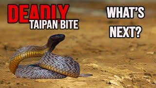 Nearly Fatal Tai-Pan Bite Draws Unwanted Attention to Responsible Snake Keepers