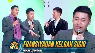 QVZ 2022 | Texas jamoasi - Fransiyadan kelgan sigir