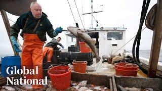 Global National: June 26, 2024 | Newfoundland and Labrador cod moratorium ends after 32 years