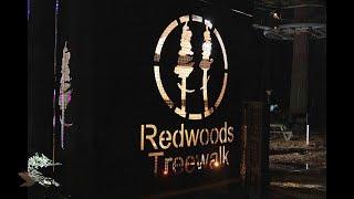 Redwoods Treetop Night Walk