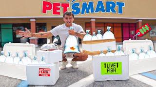 BUYING EVERY FISH from This PET STORE!!