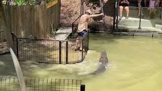 Amazing scary attempt by crocodile to attack keeper
