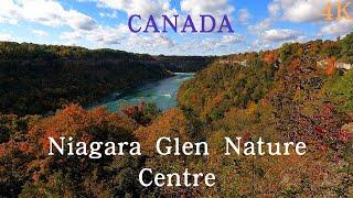 Niagara Glen Nature Centre - Niagara Falls, ONTARIO, CANADA