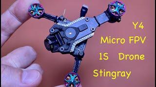 Micro 1S FPV drone Stingray Y4