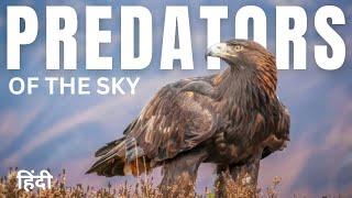 Predators: of The Sky | animal planet birds hindi documentary | Wildlife Documentary In Hindi