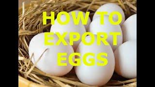 How To Export Eggs  (English) | SImon Raks #exportimport #india