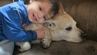 CUTE TODDLER AND PUPPY!