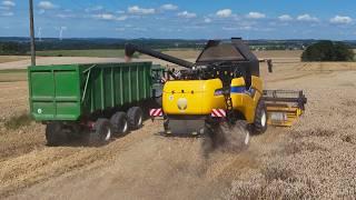 Combining wheat | New Holland CX 6.90 // John Deere 6250R | Vulkaneifel 2024