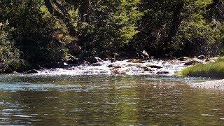 Spanish nymphing in Patagonia Argentina small river