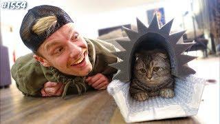 HUIS VOOR SOK DE POES BOUWEN! - ENZOKNOL VLOG #1554