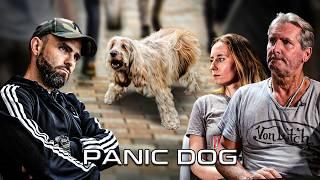 "Elle a tellement peur qu'elle vit dans mon placard !" - Cocker Peureux - Panic Dog Ep18