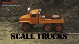 Scale Trucks + Trial auf der Modellbaumesse Schleswig Holstein 2013 - Darconizer RC
