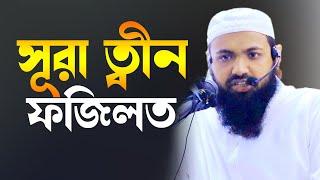 সূরা ত্বীন এর গুরুত্বপূর্ণ ফযিলত। মুফতি আরিফ বিন হাবিব। Mufti Arif Bin Habib । Borkot Media