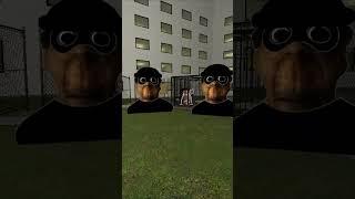 Escape Nextbots Banana Cat, Rosalia, Obunga And My Name Is Aughhhh #gmod