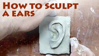 How to sculpt ears? Sculpture Learning