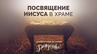 7. Посвящение Иисуса в храме –  Рик Реннер. Серия «Неизвестная история Рождества»