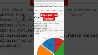 Pie chart in Python