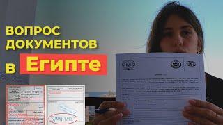 Документы для поездки и отдыха в Египте 2022.