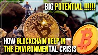 How can Blockchain help in the Environmental Crisis? – Blockchain & Climate Crisis