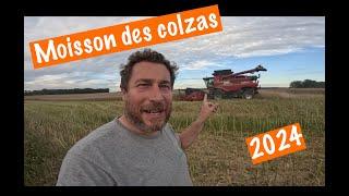 moisson des colzas 2024