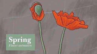 Spring / Blooming flowers animation