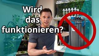 Wir wagen ein (energiesparendes) Experiment! | Walstad Aquarium | Petonus