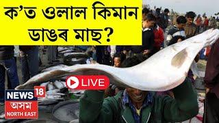 LIVE | Morning News | আজি উৰুকা। মাছৰ বজাৰত প্ৰকাণ্ড প্ৰকাণ্ড মাছ। ক'ত ওলাইছে কিমান ডাঙৰ মাছ ।