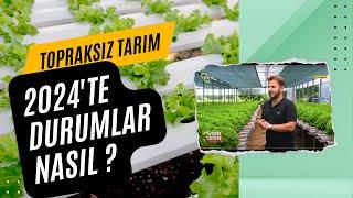 2024'te Topraksız Tarım'a Dair