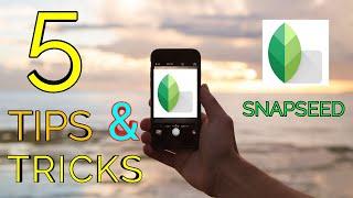 5 NEW SANPSEED TIPS | SNAPSEED TIPS AND TRICKS