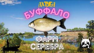 Фарм Серебра р.Ахтуба.Буффало РР4