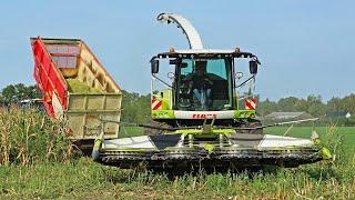 Mais Silage | Claas Jaguar 940 + Fendt | Geresteijn | 2023