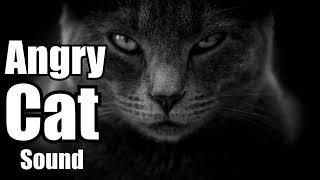 10 Minutes - Angry Cat sound effect -  different Angry Cat sounds * HIGH QUALITY *