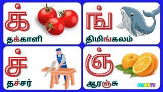 மெய் எழுத்துக்கள் - Mei Eluthukkal | Tamil Alphabets Letters |‪@mamotu.‬