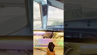 Girlfriend tries to land a plane for the first time in Microsoft Flight Simulator 2020 #shorts