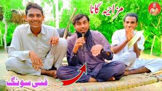 bakra eid funny song | Ghani Bhira