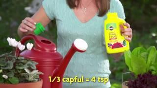 How to Use Miracle-Gro® Liquid All Purpose Plant Food Concentrate